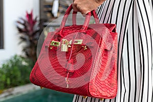 Fashionable woman holding luxury snakeskin python bag. Elegant outfit. Close up of purse in hands of stylish lady. Model