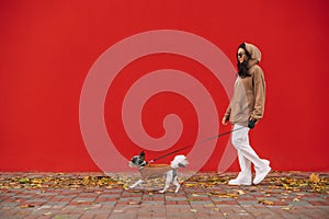 Fashionable woman wearing shades and casual clothes is walking with her dog - yorkshire terrier in front of the red wall. Autumn