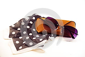 fashionable women's sunglasses. A case for storing glasses. they are lying on a