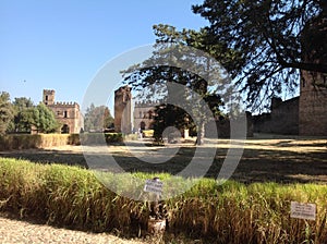 Fasil Castle Gondar Ethiopia