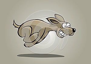 Fast dog