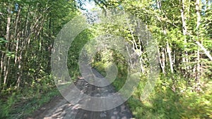 Fast driving on a forest road. Green dense forest. Blue sky, sunny summer day.