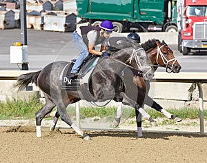 Fast Fillies training at Belmont Park