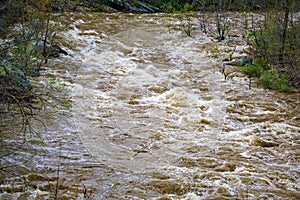 Fast Flood Water at Maury River in Goshen Pass