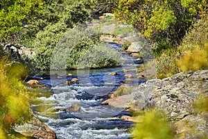 Fast flow river in the autumn autumn