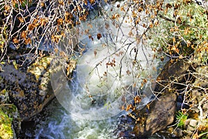 Fast flow river in the autumn autumn