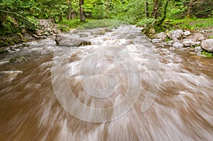 Fast flowing Aira Beck in the English Lake District