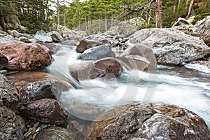 Fast flowing Asco river in Corsica