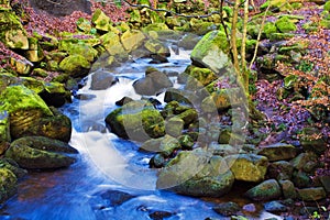 Fast flowing brook