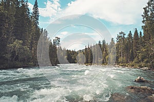 The fast flowing crystal clear waters of the River during early spring run. Mountain river flows in the forest. Beautiful wildlife