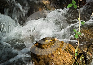 Fast flowing mountain stream