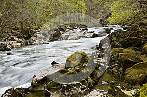 Fast flowing river in spring