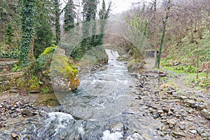 Fast Flowing River Stream in Giresun Forest