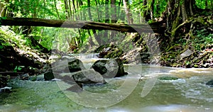 Fast flowing river in a wild area