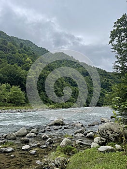 a fast flowing river in a wooded area
