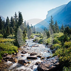 Stream Along Skoki Loop Canadian Rockies photo
