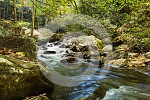 Fast flowing stream in the mountains of North Carolina