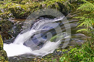 Fast flowing stream at Watersmeet, near Lynmouth in Devon