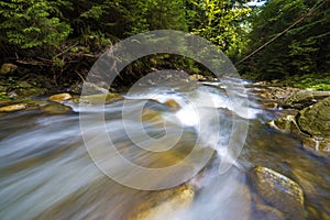 Fast flowing through wild green forest river with crystal clear smooth silky water falling from big wet stones in beautiful