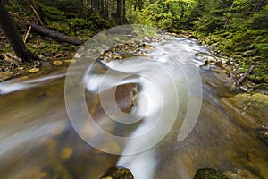 Fast flowing through wild green forest river with crystal clear smooth silky water falling from big wet stones in beautiful