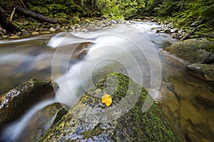 Fast flowing through wild green forest river with crystal clear smooth silky water falling from big wet stones in beautiful