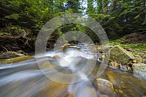 Fast flowing through wild green forest river with crystal clear smooth silky water falling from big wet stones in beautiful