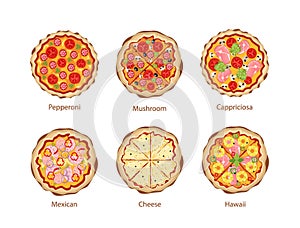 Fast Food Icons. Pizza with Mushrooms, Cappriciosa, Pepperoni and Cheese, Mexican and Hawaii. Street Junk Takeaway Meal
