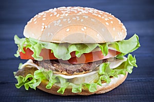 Fast food tasty Burger with cheese