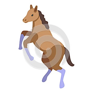 Fast horse icon isometric vector. Hippodrome animal