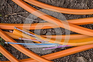 Internet connection fiber optic cable - broadband connection photo