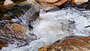 A fast mountain river flows over the stones. Cold clean clear water runs through the forest