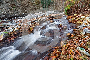 Fast mountain river in the forest in autumn season