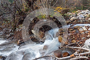 Fast mountain river in the forest in autumn season