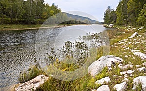 A fast mountain river with a rocky shore. In the background are mountains overgrown with forest