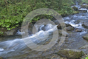 Fast mountain river is running between huge rocky stones