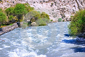 Fast mountain river water stream with waves flowing near the rocky bank with trees in summer.