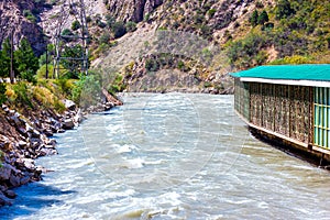 Fast mountain river water stream with waves flowing near the rocky bank with trees in summer.