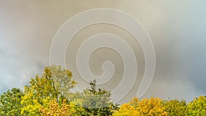 Fast-moving clouds over autumn deciduous forest with yellow foliage. Autumn forest