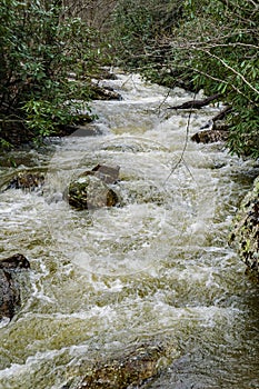 A Fast Moving Mountain Stream in Goshen Pass, Virginia