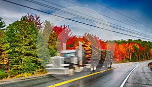 Fast moving truck along foliage road scenery