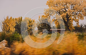 Fast-moving truck with a horse-trailer on a countryside road visible behind blurry bushes