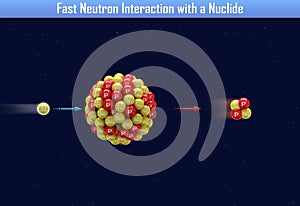 Fast Neutron Interaction with a Nuclide