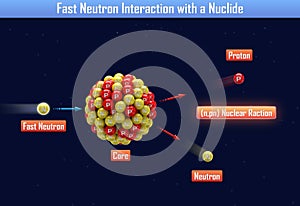Fast Neutron Interaction with a Nuclide