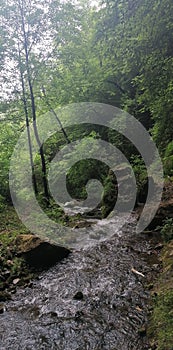 Fast river beautiful view nature