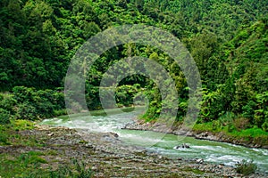 Fast river flowing in a rocky riverbed at the bottom of Waioeka Gorge, North Island, New Zealand photo