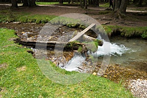 Fast river near forest in Bucegi mountains,  Romania