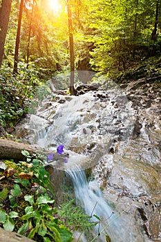 Fast river in Slovak Paradise