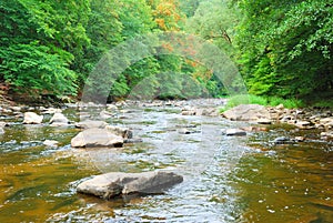 Fast shallow river flowing through a green valley