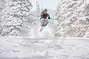 Skier freerides and jumps in snowy forest photo