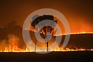 Fast spreading wildfires depict climate changes ecological impacts